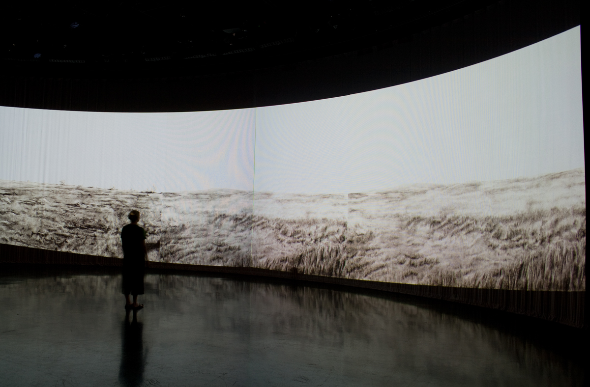 Photo of animation installation